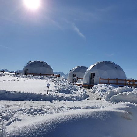 Glamping Pasieka Namiot Glamp Bukowina Tatrzanska - Domki W Gorach Ґронь Екстер'єр фото