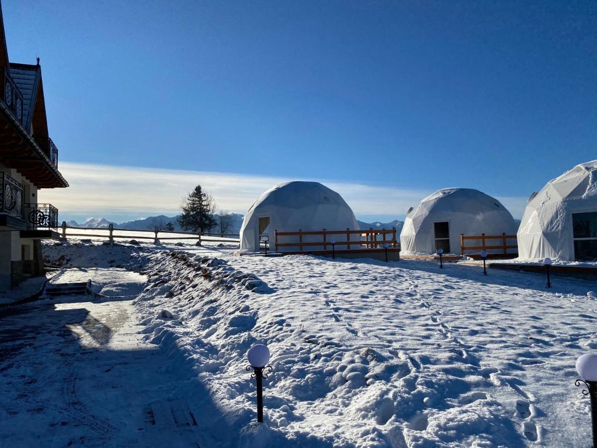 Glamping Pasieka Namiot Glamp Bukowina Tatrzanska - Domki W Gorach Ґронь Екстер'єр фото