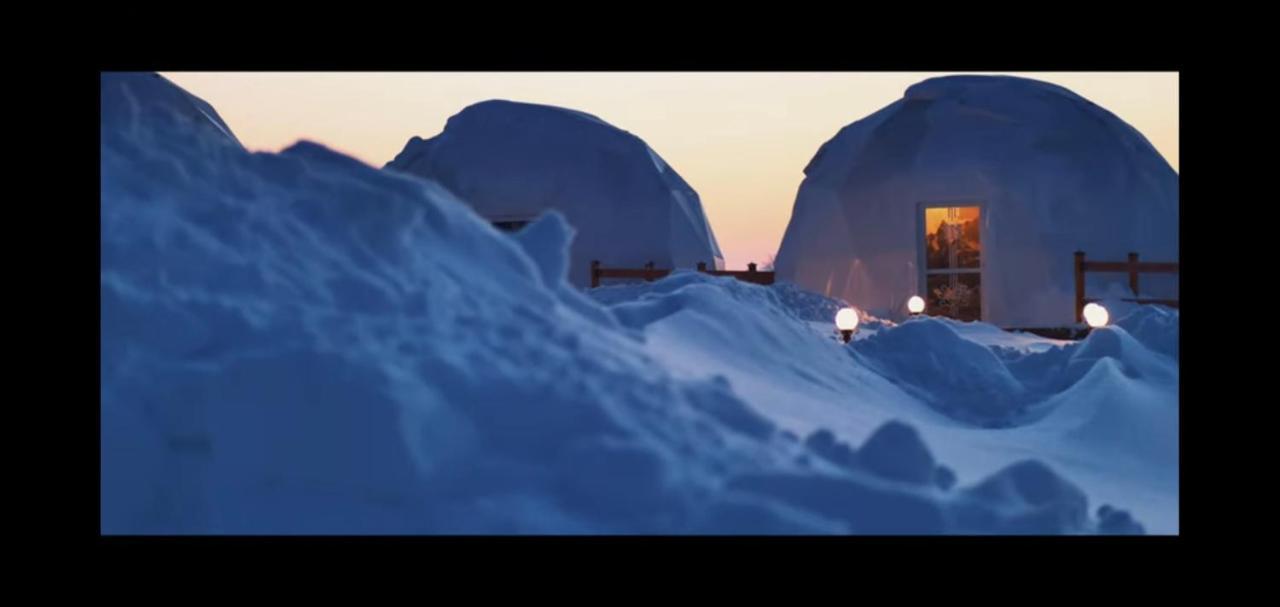 Glamping Pasieka Namiot Glamp Bukowina Tatrzanska - Domki W Gorach Ґронь Екстер'єр фото