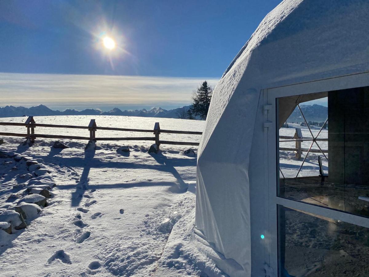 Glamping Pasieka Namiot Glamp Bukowina Tatrzanska - Domki W Gorach Ґронь Екстер'єр фото