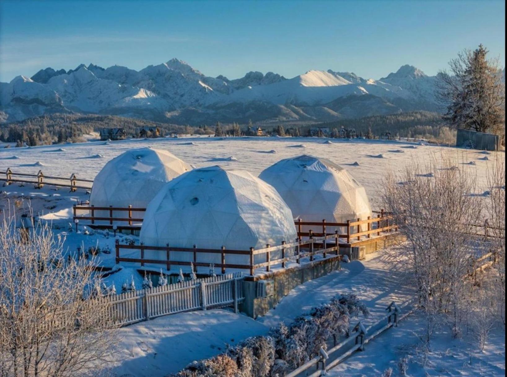 Glamping Pasieka Namiot Glamp Bukowina Tatrzanska - Domki W Gorach Ґронь Екстер'єр фото